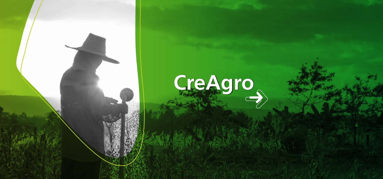 CreAgro - Metodología para el crédito agropecuario